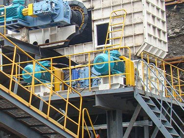 Double Teeth Roll Crusher Case-19 Double Teeth Roll Crusher Case-19