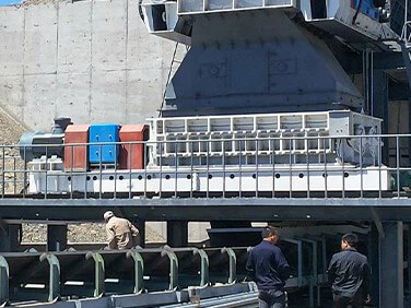 Double Teeth Roll Crusher Case-4 Double Teeth Roll Crusher Case-4