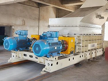 Double Teeth Roll Crusher Case-18 Double Teeth Roll Crusher Case-18