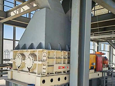 Double Teeth Roll Crusher Case-10 Double Teeth Roll Crusher Case-10